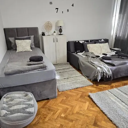 Apartment Aparmani Djuric *