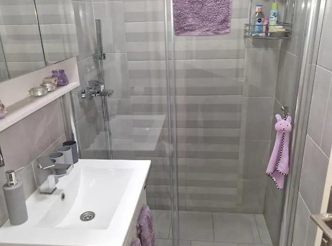 Apartament Aparmani Djuric *